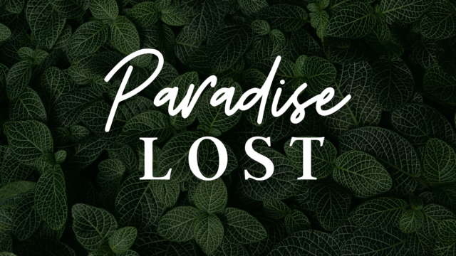 photo for Paradise Lost