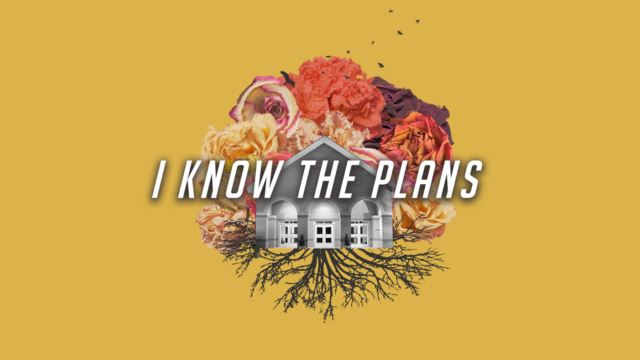 Image for I Know the Plans: Week Two