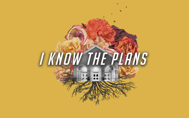 photo for I Know the Plans: Week Four