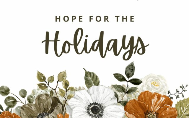 photo for Hope for the Holidays
