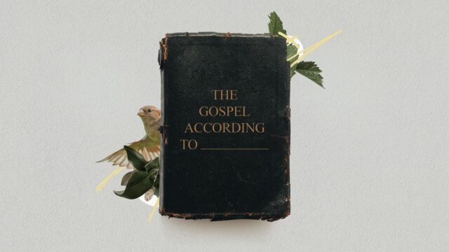 photo for The Gospel According to…Luke